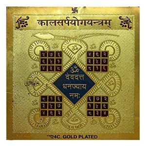 Kaal Sarp Dosha Niwaran Yantra